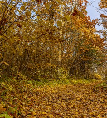 Duderhof yükseklikleri, doğal bir anıt, glacia tepelerin bir grup