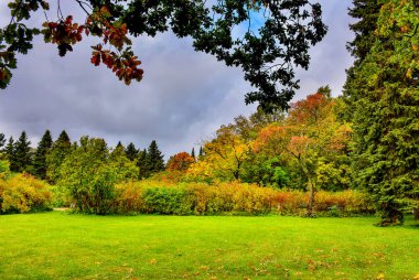 Sonbahar bulutlu havalarda Peterhof ünlü Alt Park. 