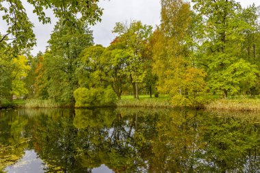 Sonbahar bulutlu havalarda Peterhof ünlü Alt Park. 