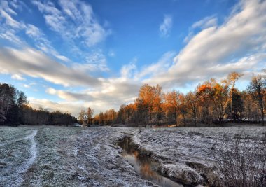 Pavlovsk manzara Park güneşli soğuk sabah.