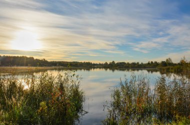Gossamer çimenler üzerinde