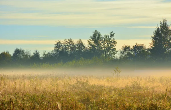 Ранній осінній ранковий туман — стокове фото