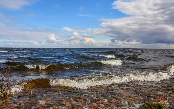 Blåsig höstdag på stranden av sjön Ladoga. — Stockfoto