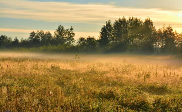 A kora őszi reggeli köd — Stock Fotó