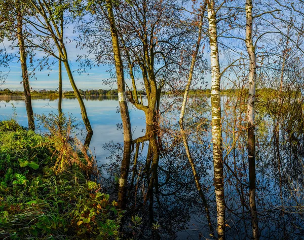 Заброшенный карьер — стоковое фото