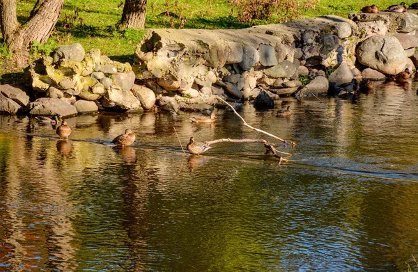 Korela Kalesi — Stok fotoğraf