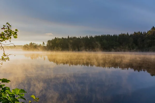 Morning mist — Stock Photo, Image