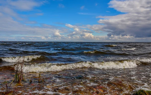 Windiger Herbsttag am Ufer des Ladogasees. — Stockfoto