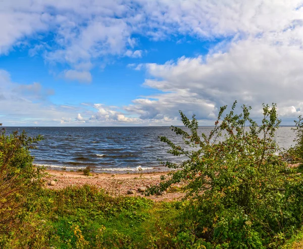 Windy autumn day on the shore of lake Ladoga. — Stock Photo, Image