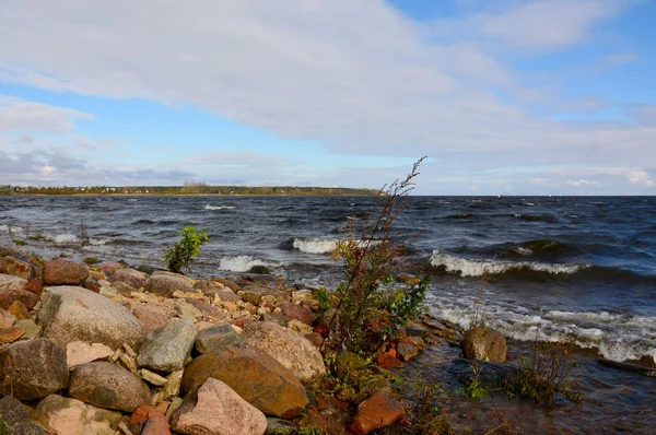 Szeles őszi nap a Ladoga-tó partján. — Stock Fotó