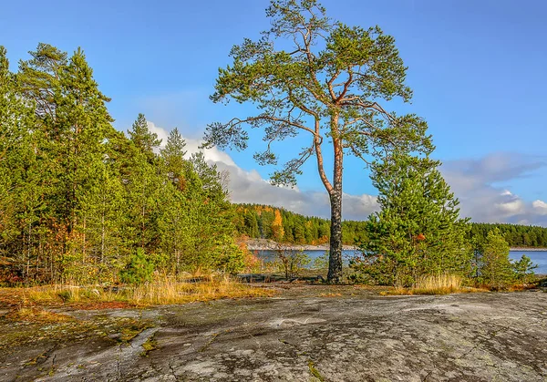 Wyspa Kajosaari, jezioro Ladoga, Karelia, Rosja. — Zdjęcie stockowe