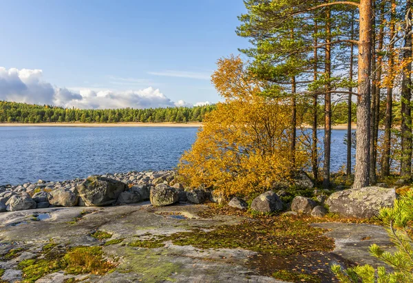 Kajosaari Adası, Ladoga Gölü, Karelia, Rusya. 