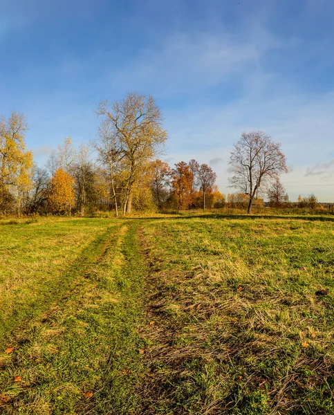 Осінній пейзаж на березі річки Тосна в Ленінгрі. — стокове фото