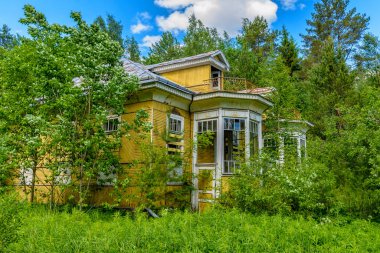 Leningrad bölgesinde terkedilmiş ve çöken ormancı evi otoyola yakın..