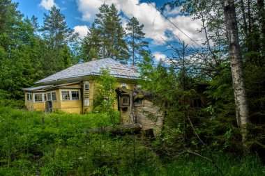 Leningrad bölgesinde terkedilmiş ve çöken ormancı evi otoyola yakın..