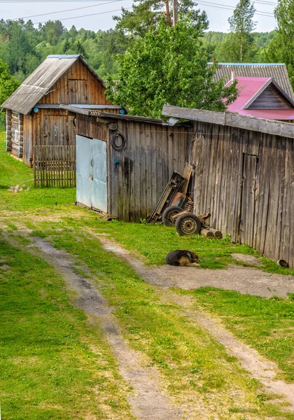 Pueblo Zaitsevo Camino San Petersburgo Moscú Región Novgorod — Foto de Stock