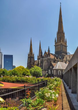 1 Katedral Place, Doğu Melbourne. Avustralya. St. Patrick Katedrali Katolik Başpiskoposluğu 'nun katedralidir.. 