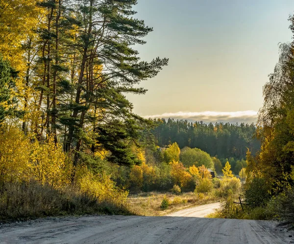 Schoonheid Van Gouden Herfst Karelia Ochtendlandschap — Stockfoto