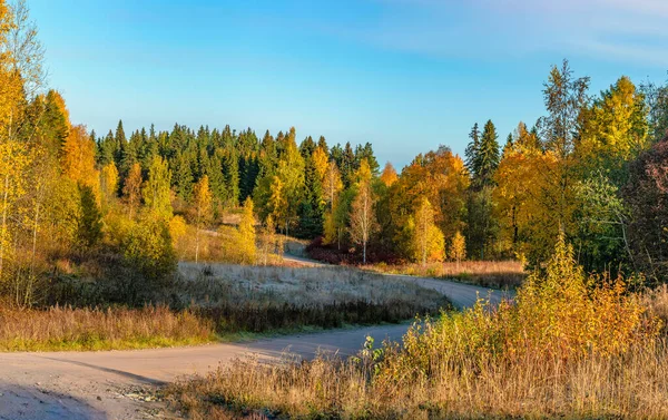 Belleza Del Otoño Dorado Karelia Paisaje Mañana —  Fotos de Stock