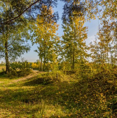 Taş ocağının kıyısında güzel bir sonbahar akşamı. Açık havada..