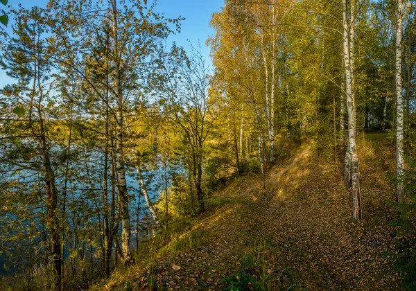 Прекрасный Осенний Вечер Берегу Карьера Открытом Воздухе — стоковое фото