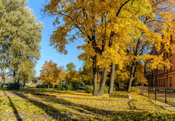 Procházka Podél Podzimu Kamenoostrovsky Vyhlídka Městě Petrohrad — Stock fotografie