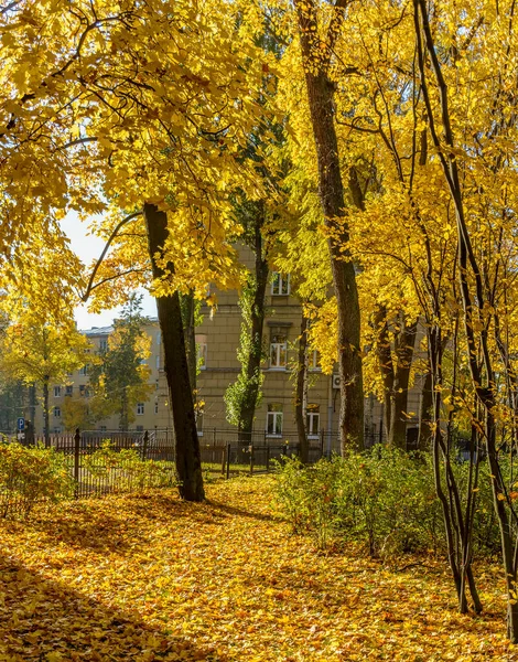 Procházka Podél Podzimu Kamenoostrovsky Vyhlídka Městě Petrohrad — Stock fotografie