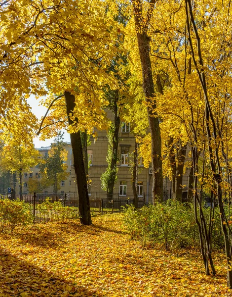 Spaziergang Entlang Der Herbstlichen Kamenoostrovsky Aussicht Der Stadt Petersburg — Stockfoto