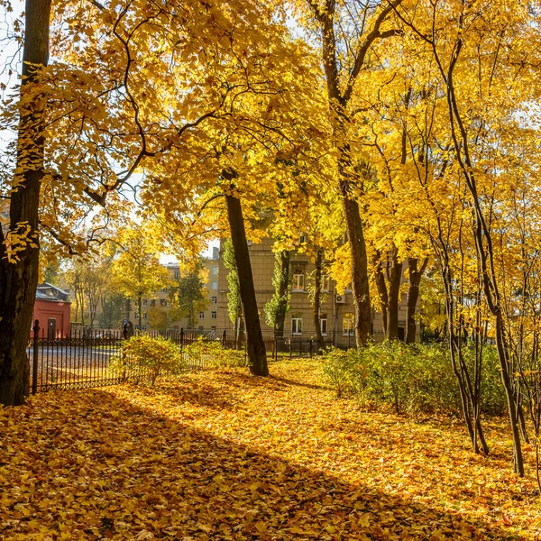 Spaziergang Entlang Der Herbstlichen Kamenoostrovsky Aussicht Der Stadt Petersburg — Stockfoto