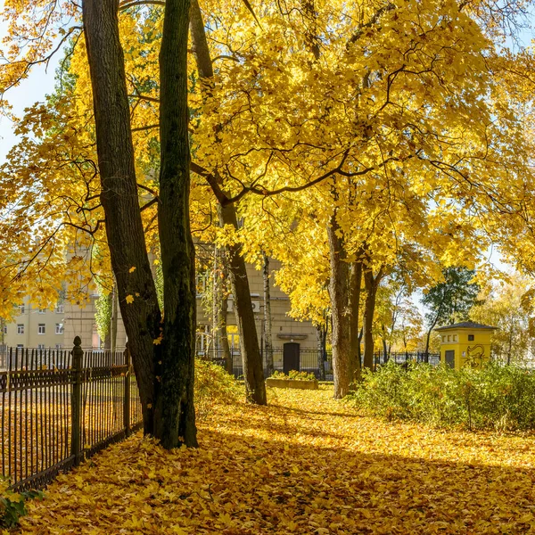 Spaziergang Entlang Der Herbstlichen Kamenoostrovsky Aussicht Der Stadt Petersburg — Stockfoto