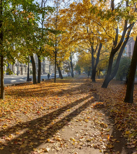 Spaziergang Entlang Der Herbstlichen Kamenoostrovsky Aussicht Der Stadt Petersburg — Stockfoto