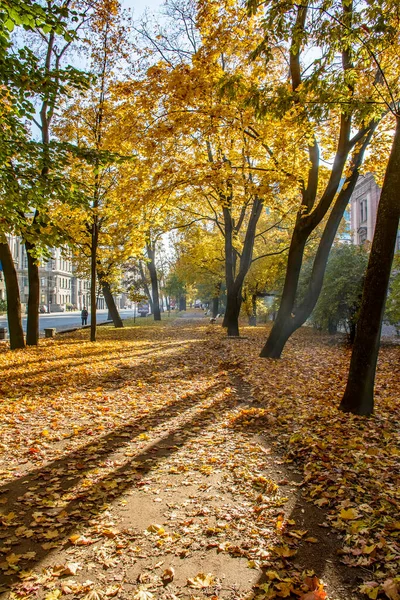 Spaziergang Entlang Der Herbstlichen Kamenoostrovsky Aussicht Der Stadt Petersburg — Stockfoto