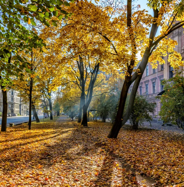 Spaziergang Entlang Der Herbstlichen Kamenoostrovsky Aussicht Der Stadt Petersburg — Stockfoto