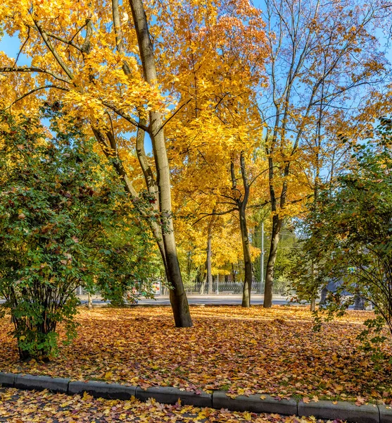 Spaziergang Entlang Der Herbstlichen Kamenoostrovsky Aussicht Der Stadt Petersburg — Stockfoto