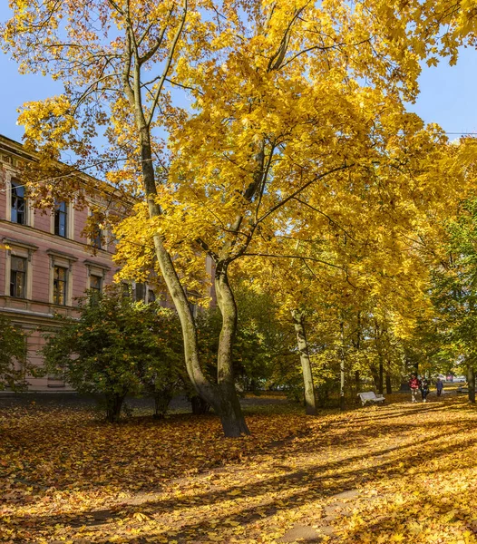 Procházka Podél Podzimu Kamenoostrovsky Vyhlídka Městě Petrohrad — Stock fotografie