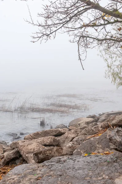 Shore Cold River Autumn Foggy Day — Stock Photo, Image