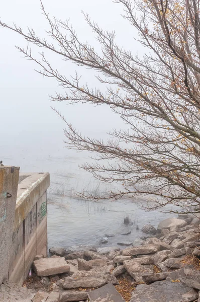 Sisli bir günde soğuk nehir sonbahar kıyısında