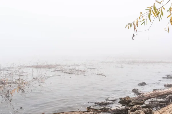 Sisli bir günde soğuk nehir sonbahar kıyısında