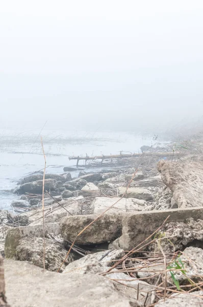Sisli bir günde soğuk nehir sonbahar kıyısında