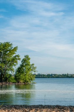 nehir, plaj ve ağaçlar bir yaz akşamı
