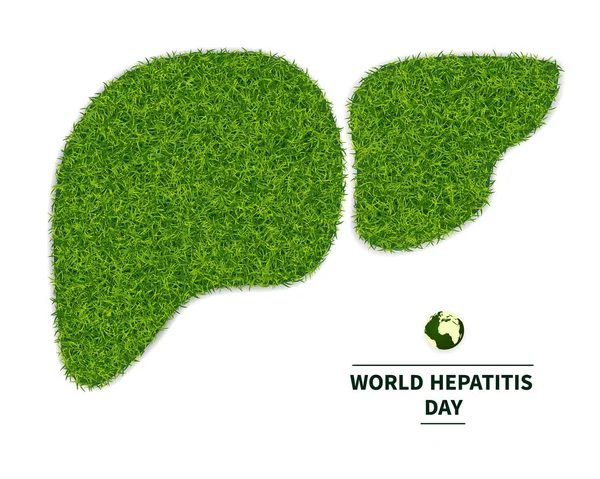 Dünya hepatit günü. Sağlıklı bir karaciğer, yeşil çim dan sembolü. vücudun sağlık personifies. Ekoloji hepatit karşı mücadelede. Metin, beyaz arka plan üzerinde vektör illüstrasyon izole.
