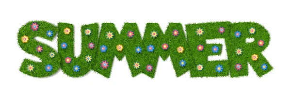 Het woord zomer van gras en bloemen — Stockvector