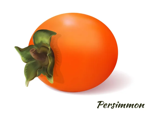 Vektor persimmon oranye - Stok Vektor