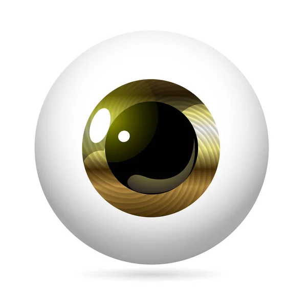 Visão Frontal Olho Humano Close Córnea Retina Pupila Íris Metálica — Vetor de Stock