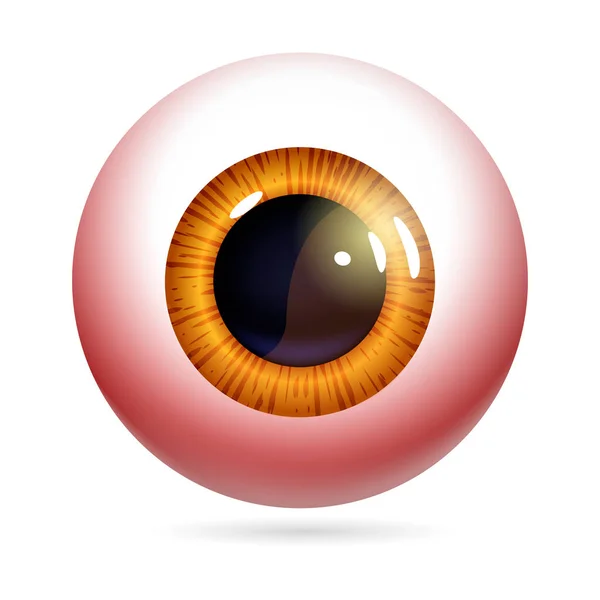 Visão Frontal Olho Humano Close Córnea Retina Pupila Íris Vermelha — Vetor de Stock