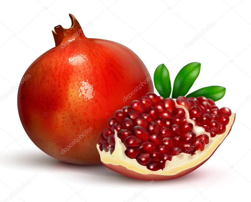 juicy pomegranate vector