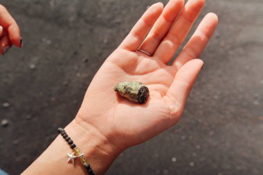 Deniz taş tutan el kayalık kumsalda buldum.