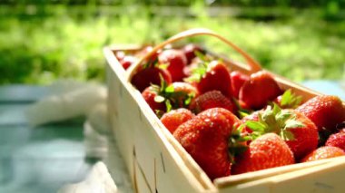 Piknikte taze çilek yiyen ve doğanın tadını çıkaran bir çift. Birlikte romantik vakit geçiren mutlu çiftin ellerine yakından bakın..