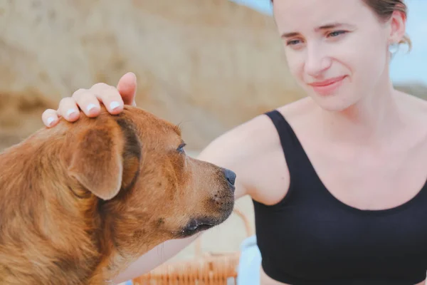 Fille caresser un chien sur la plage — Photo