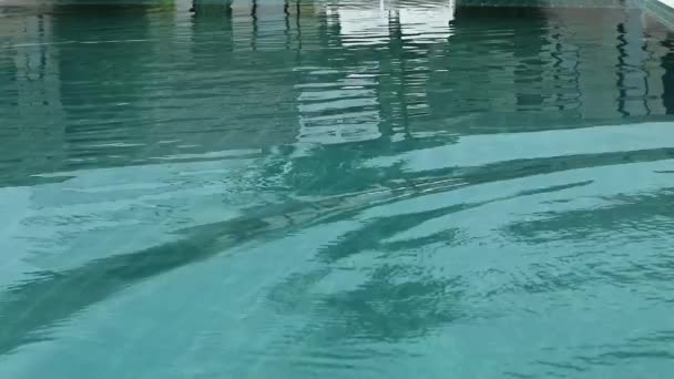 Mujer joven en un ala ancha negro y gafas de sol descansando en la piscina — Vídeo de stock